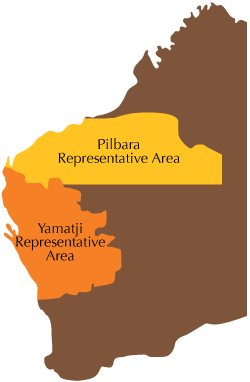 representative-areas